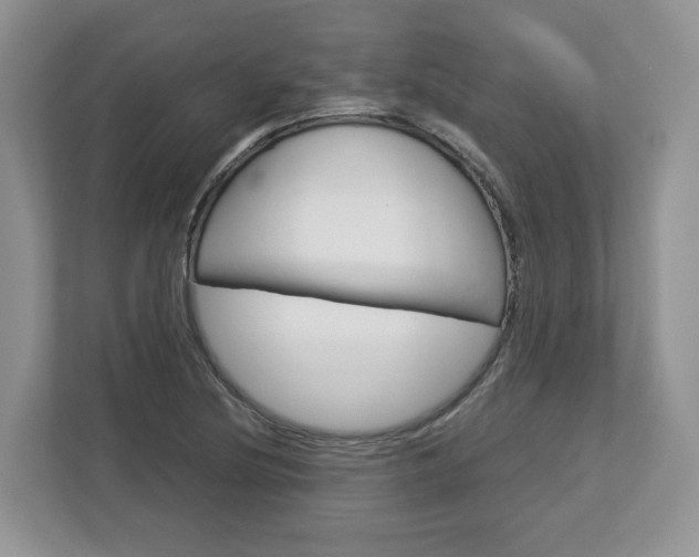 X0000113011220200908270933