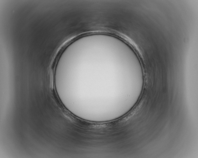 X0000113011223200908270933