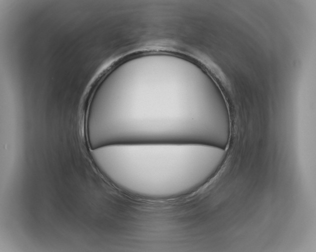 X0000113011224200908270933