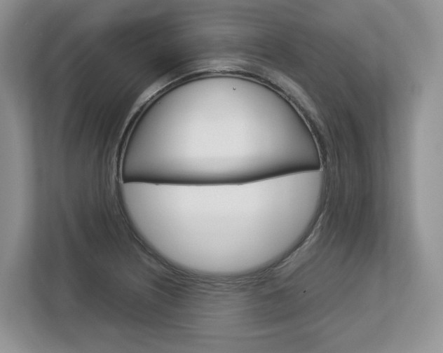 X0000113011226200908270933