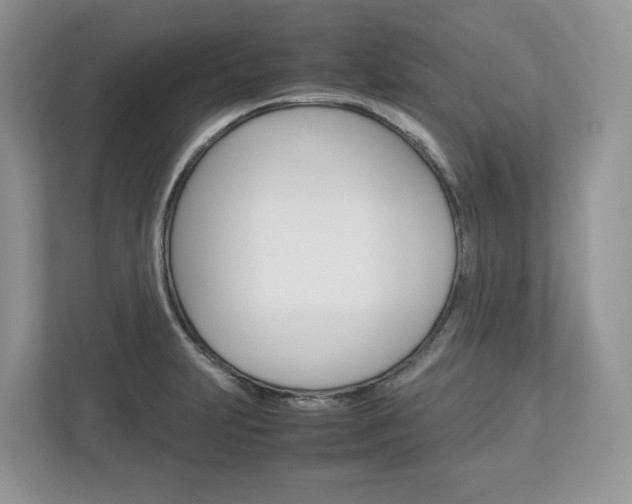 X0000113011231200908270933
