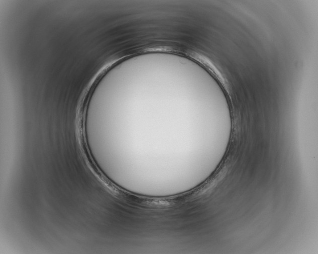 X0000113011235200908270933