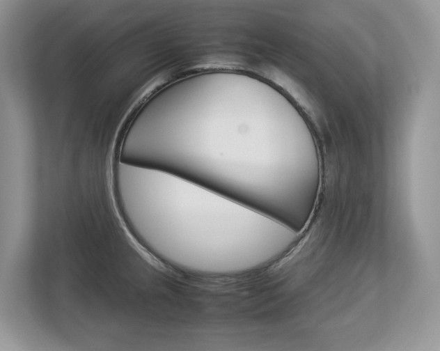 X0000113011237200908270933