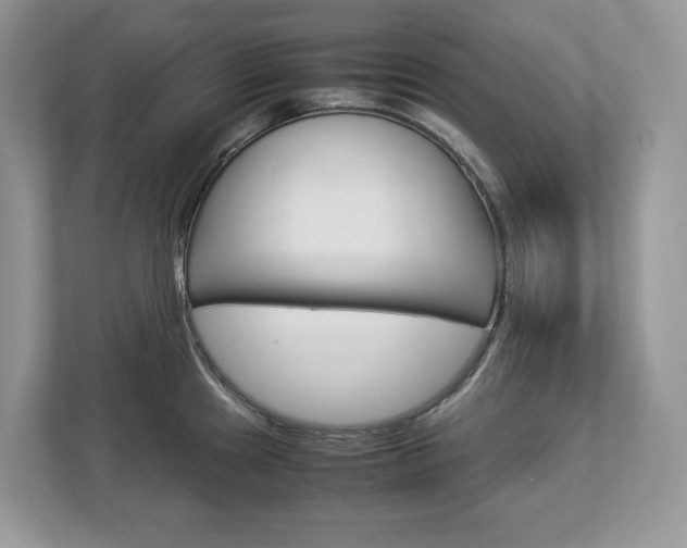 X0000113011241200908270933