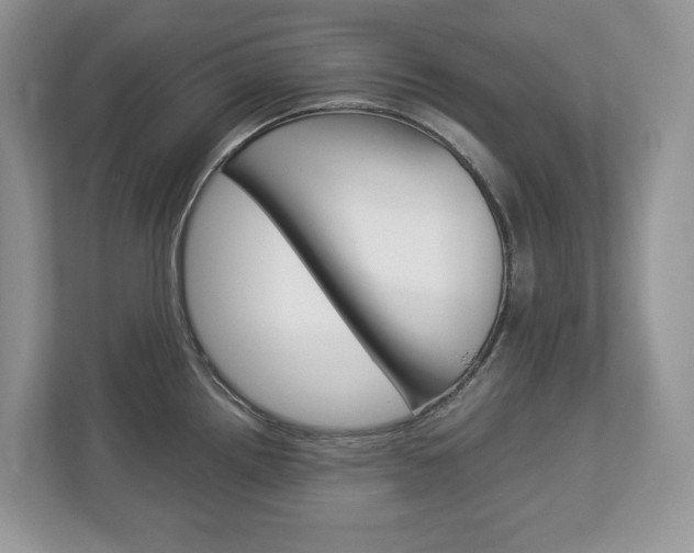 X0000113011242200908270933