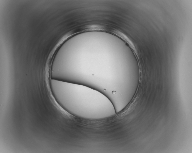 X0000113011243200908270933