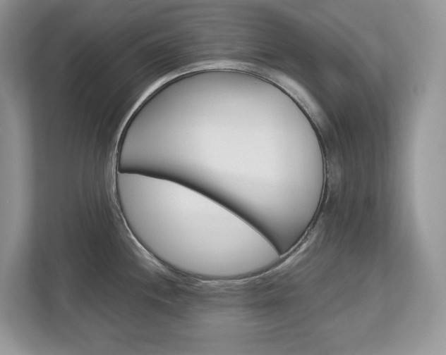 X0000113011244200908270933