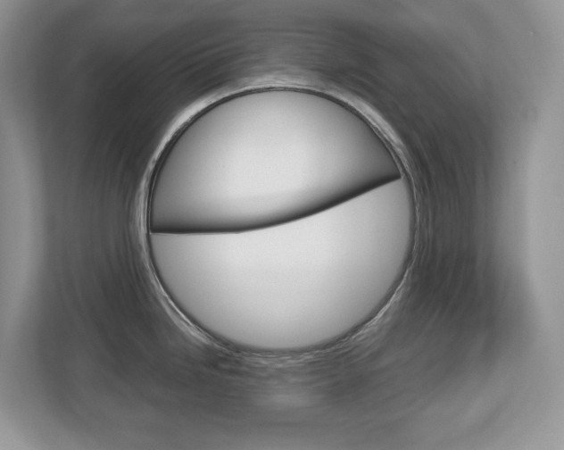 X0000113011246200908270933