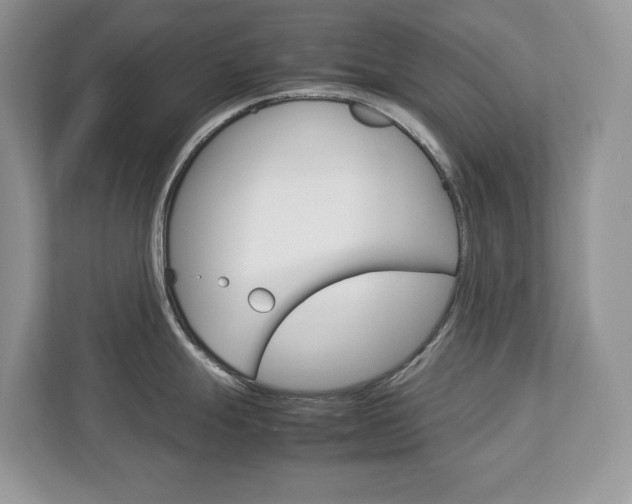 X0000113011247200908270933