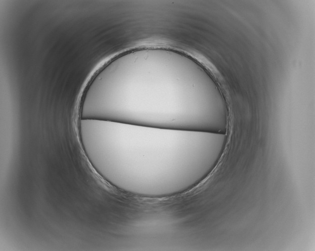 X0000113011248200908270933