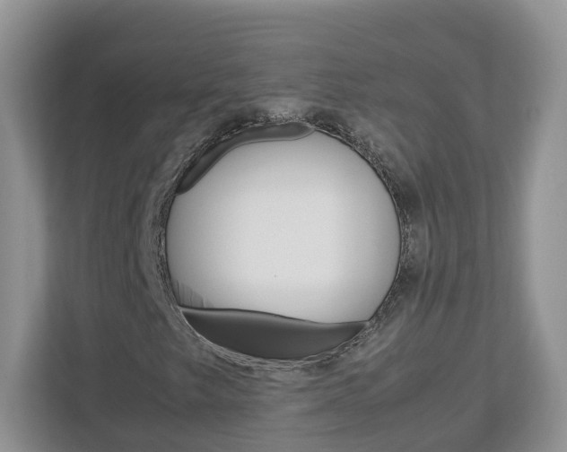X0000113011249200908270933