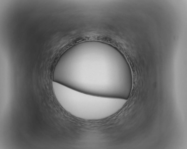 X0000113011253200908270933