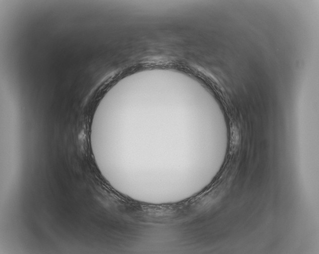 X0000113011254200908270933