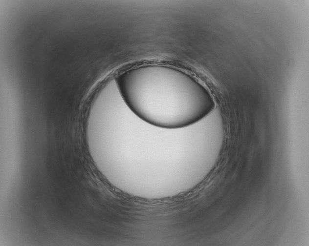 X0000113011256200908270933
