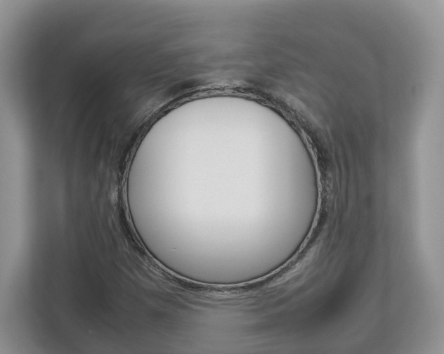 X0000113011257200908270932