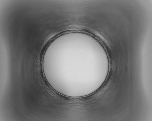 X0000113011259200908270932