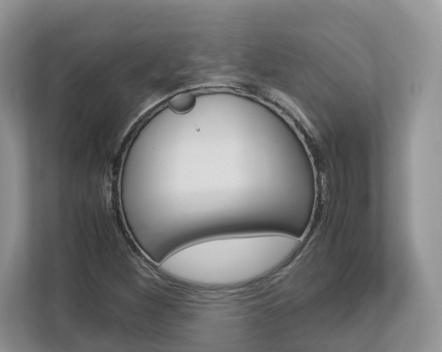 X0000113011260200908270932