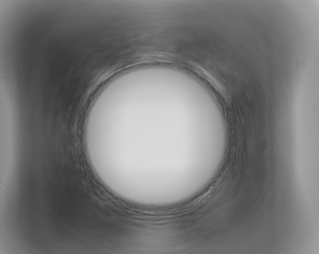 X0000113011261200908270932