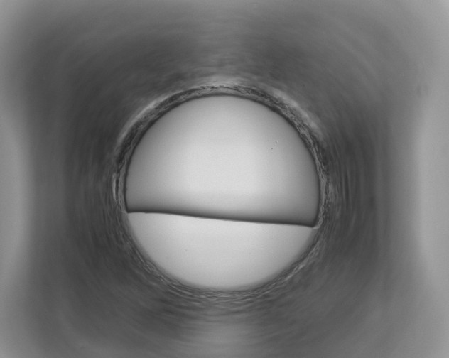 X0000113011262200908270932