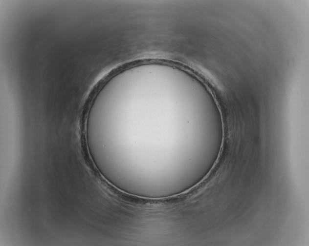 X0000113011264200908270932