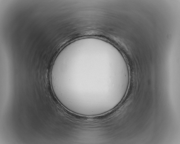 X0000113011265200908270932