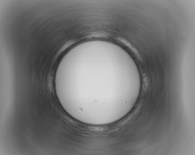 X0000113011266200908270932