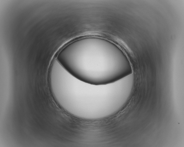 X0000113011268200908270932