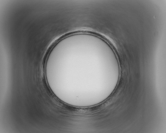 X0000113011271200908270932