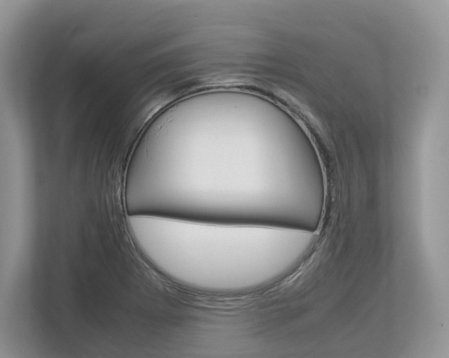 X0000113011273200908270932
