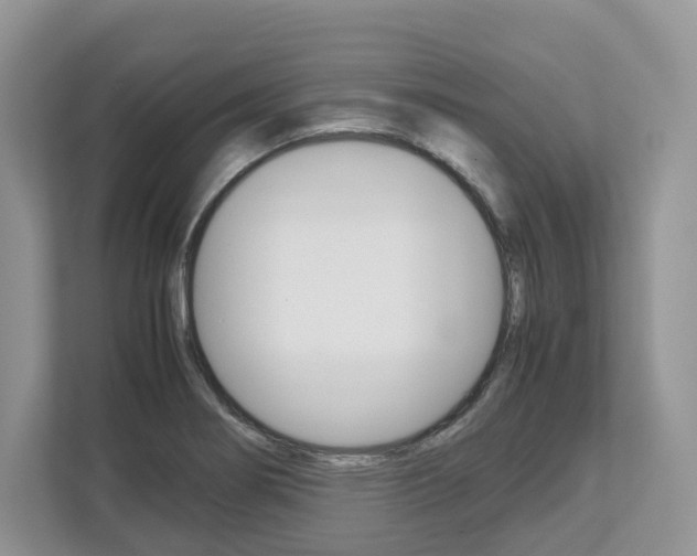 X0000113011274200908270932