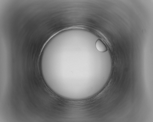 X0000113011276200908270932