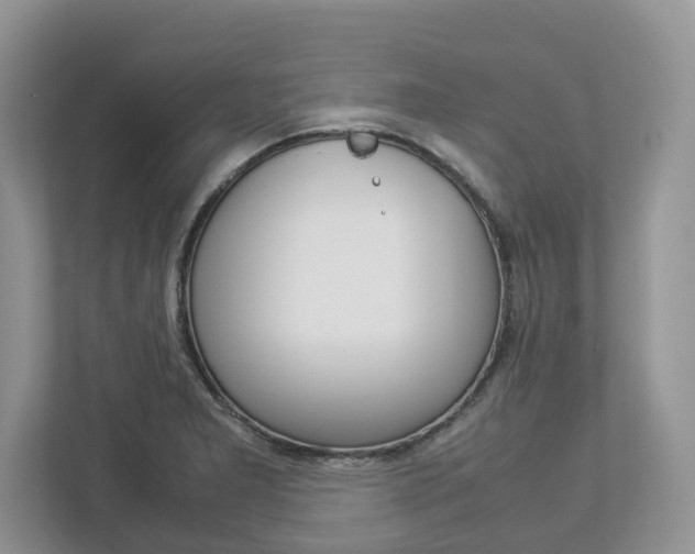 X0000113011277200908270932