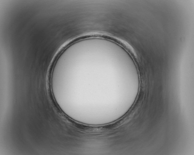 X0000113011279200908270932