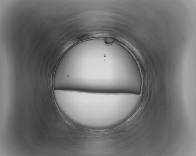 X0000113011281200908270932