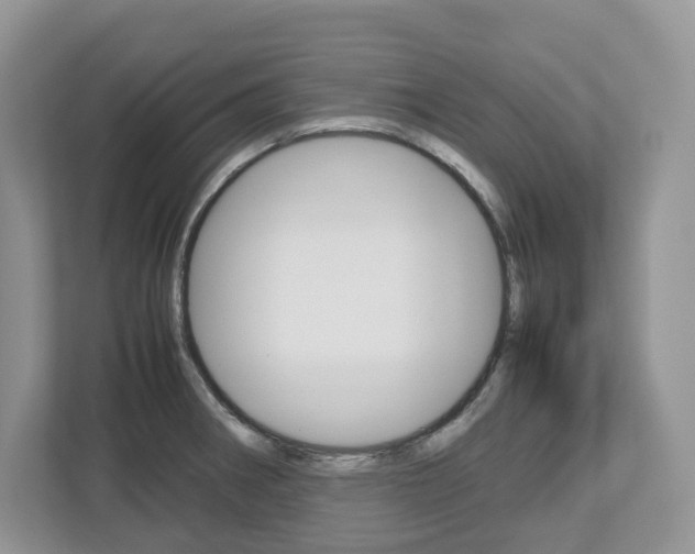 X0000113011282200908270932