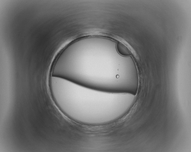 X0000113011285200908270932