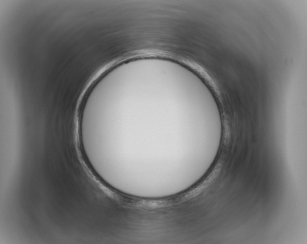 X0000113011286200908270932