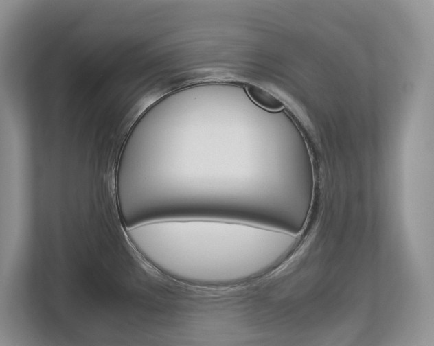X0000113011289200908270932