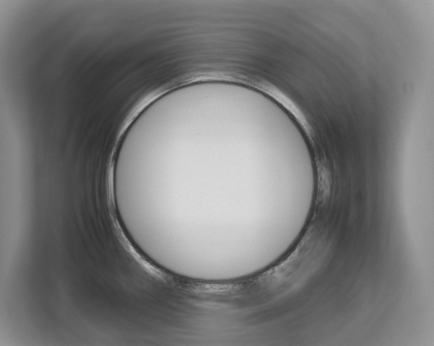 X0000113011290200908270932