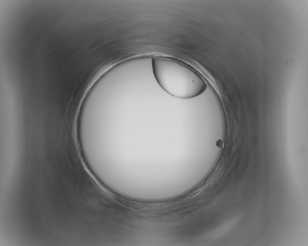 X0000113011293200908270932