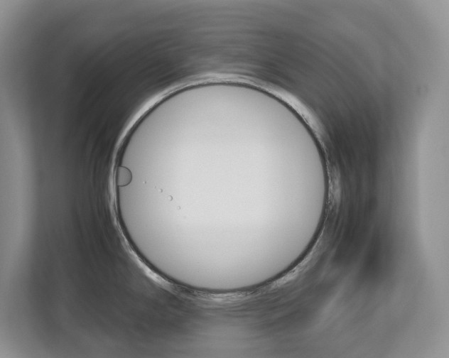 X0000113011294200908270932