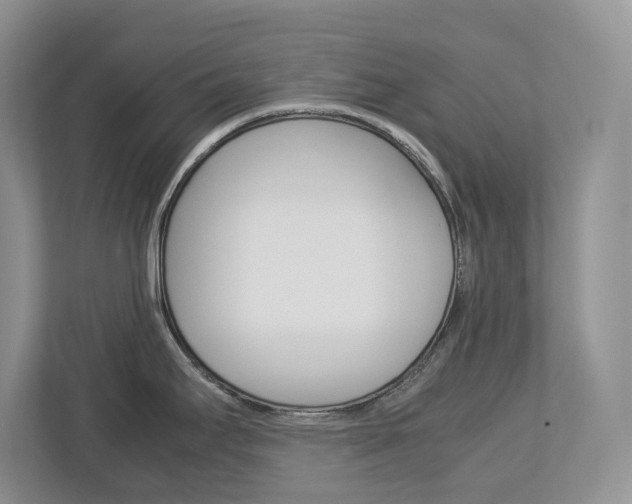 X0000113011295200908270932
