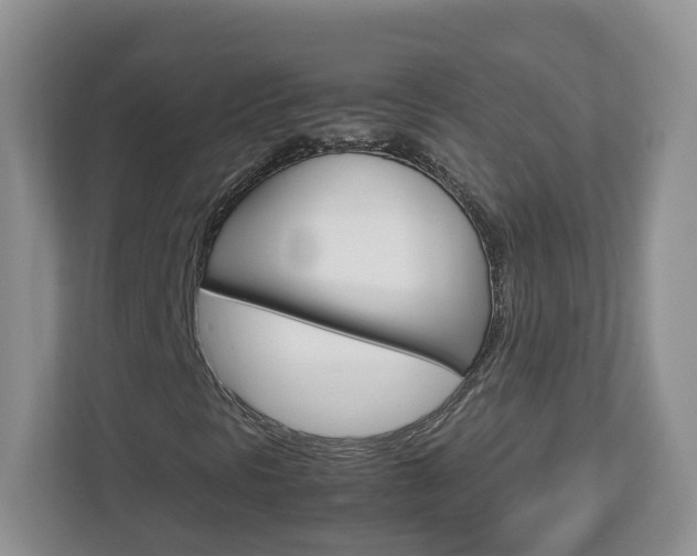 X0000113011297200908270931