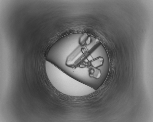 X0000113011298200908270931