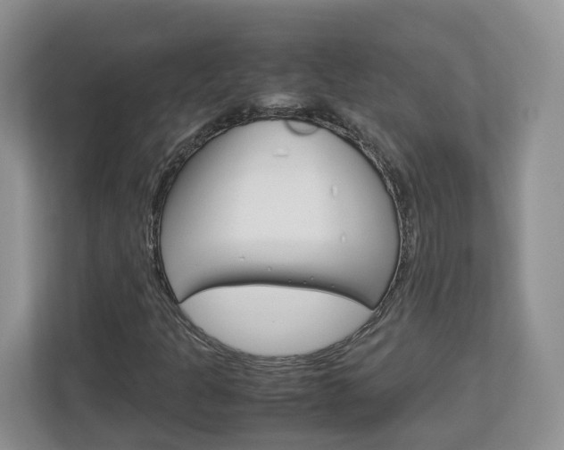 X0000113011301200908270931