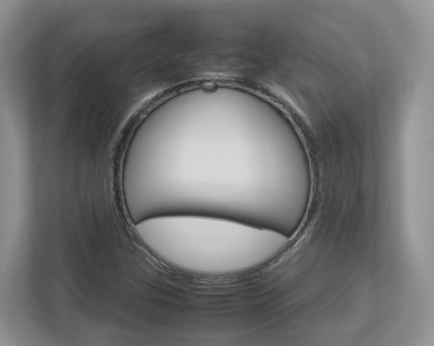 X0000113011307200908270931