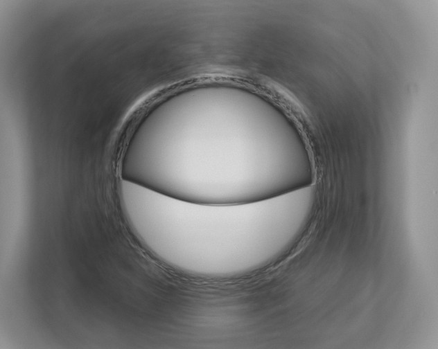 X0000113011310200908270932