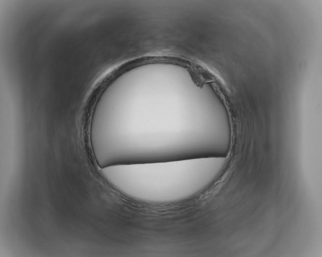X0000113011311200908270932