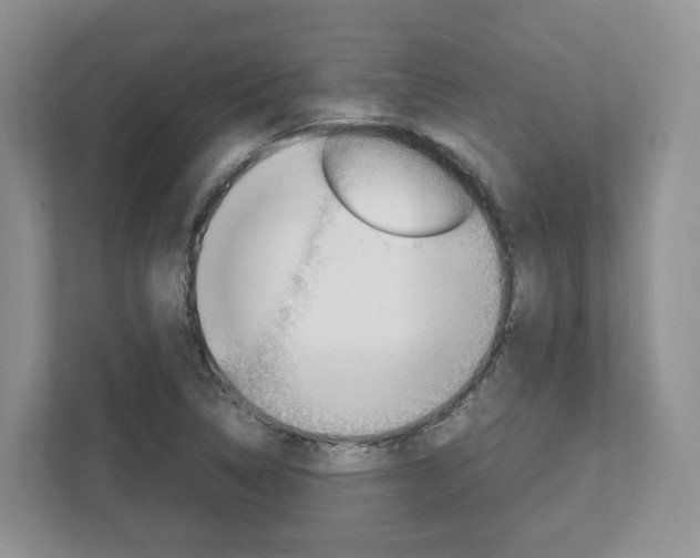 X0000113011314200908270932