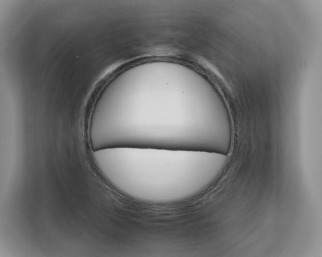 X0000113011315200908270932